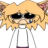 sadneko sadneko