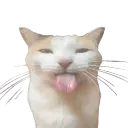SillyOne