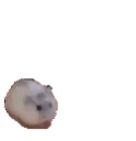 ESCAPE