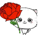 rnx_ROSE rnx_ROSE
