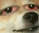 why