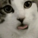 licky