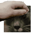 buddypat Discord emoji