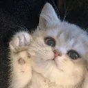 hiya hiya