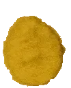 spinningnugget