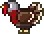 Turkey Turkey