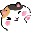 wave_fatcat