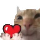 katlove