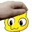 petslow petslow