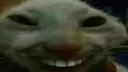 xdd xdd