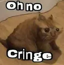 catcringe