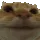 nono