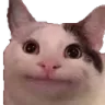 Catok catok Discord Emoji