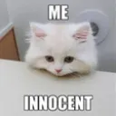 zme_innocent
