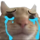 catcrying