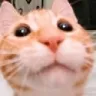 hello