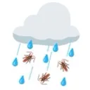 RainingRoaches