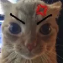 angrybird