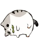 camstunned
