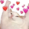 wholesomerascalyaycat wholesomerascalyaycat