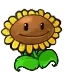 sunflower_groove sunflower_groove