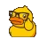 ducknerd
