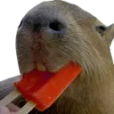 Popsiclebara