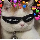 H_hello_cutie