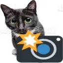 cameracat