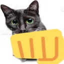 brofistcat