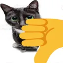 thumbsdowncat