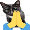 praycat