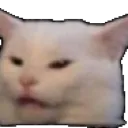 Confused Cat confused_cat Discord Emoji