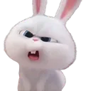 b_what