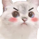 cat_mad