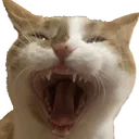 cheetoChomp
