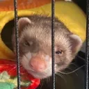 HelloThere