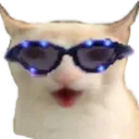 CatChest