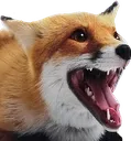 foxxers Discord Emoji