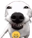 smile