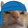 cat_madge