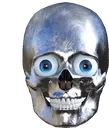 skull