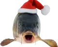 ChristmasFish