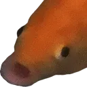 FishScared