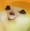 hihi