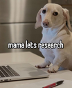 mamaletsresearch Discord emoji