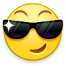 cesunglass Discord emoji