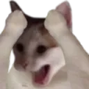 nonpog