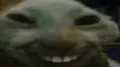 xddTalk