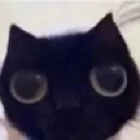 OO OO